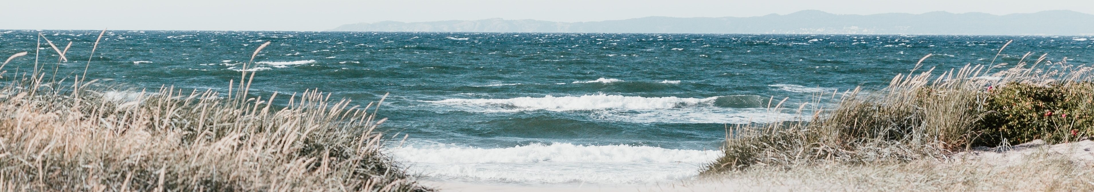 danish sand dunes